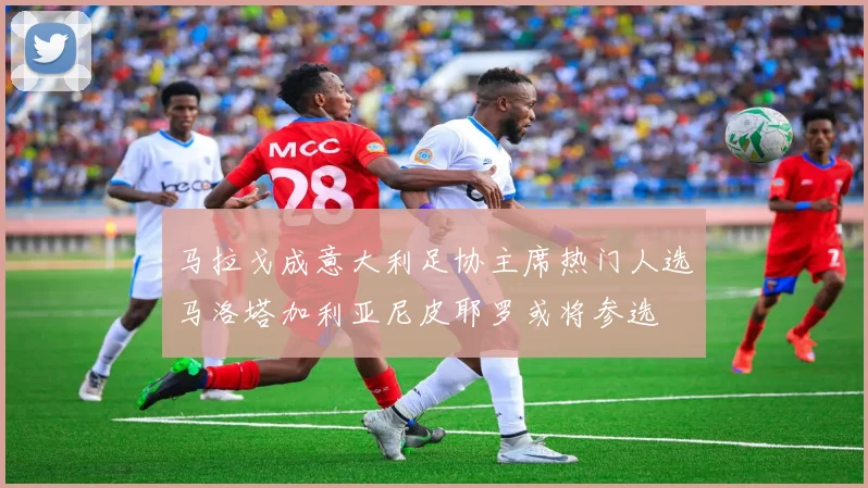 马拉戈成意大利足协主席热门人选马洛塔加利亚尼皮耶罗或将参选