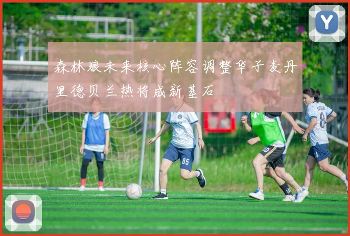 森林狼未来核心阵容调整华子麦丹里德贝兰热将成新基石