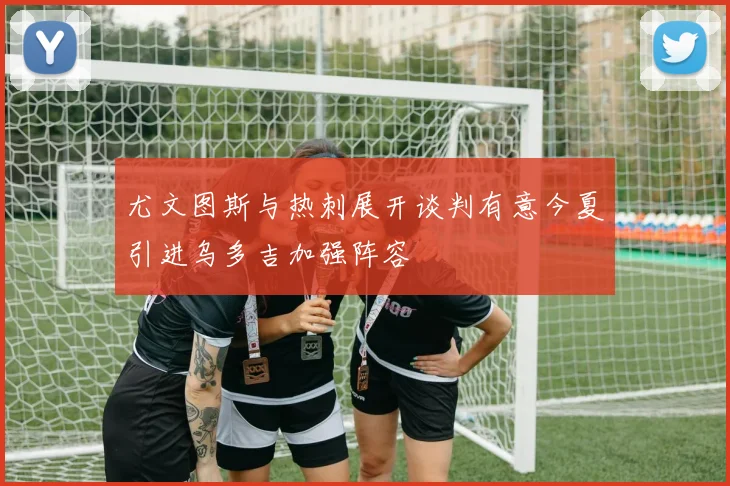 尤文图斯与热刺展开谈判有意今夏引进乌多吉加强阵容