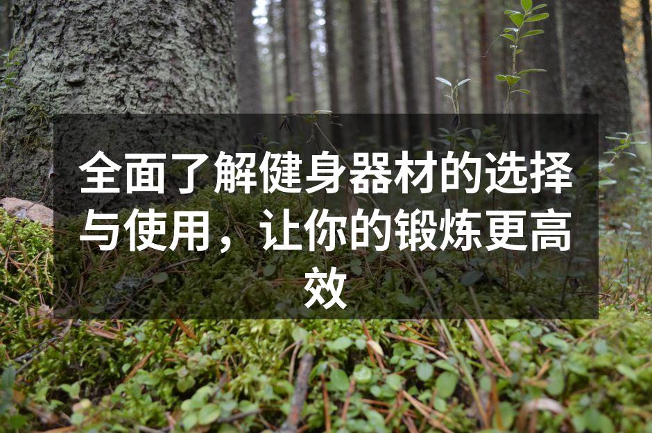 多种健身器材，满足不同需求